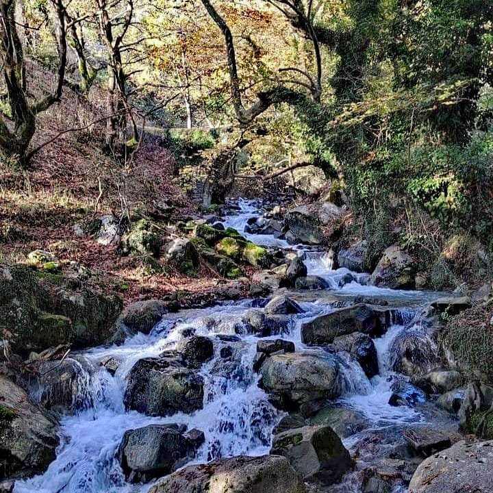 Neraidogephyro-Vourgareli必去景点