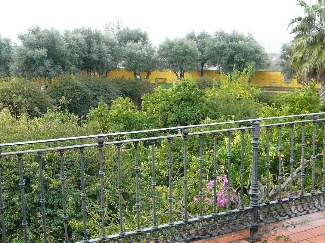 Hotel Sao Joao de Deus by RIDAN Hotels主图