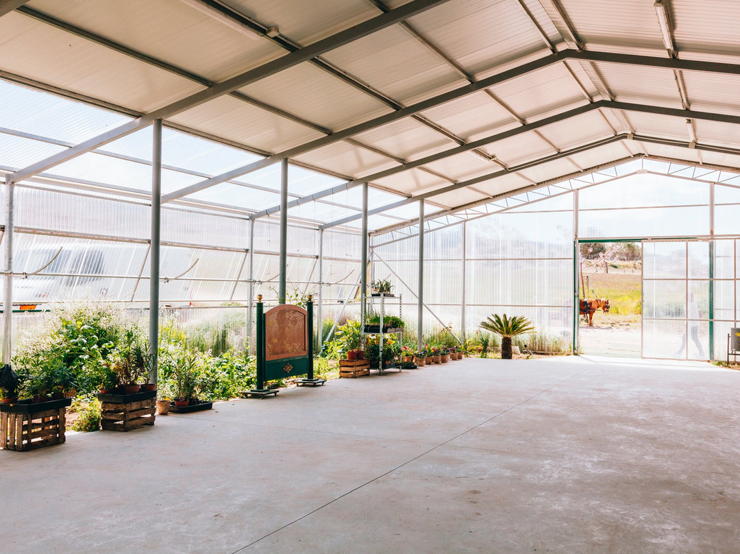 Finca Daroca景点图片