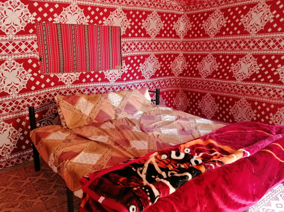 rumroad-Wadi Rum Village必去景点