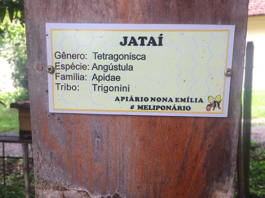 Apiario Nona Emilia-伊图佩瓦必去景点