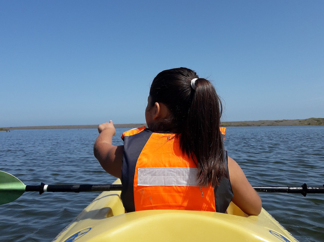 Rutas Pudu-Pelluhue必去景点