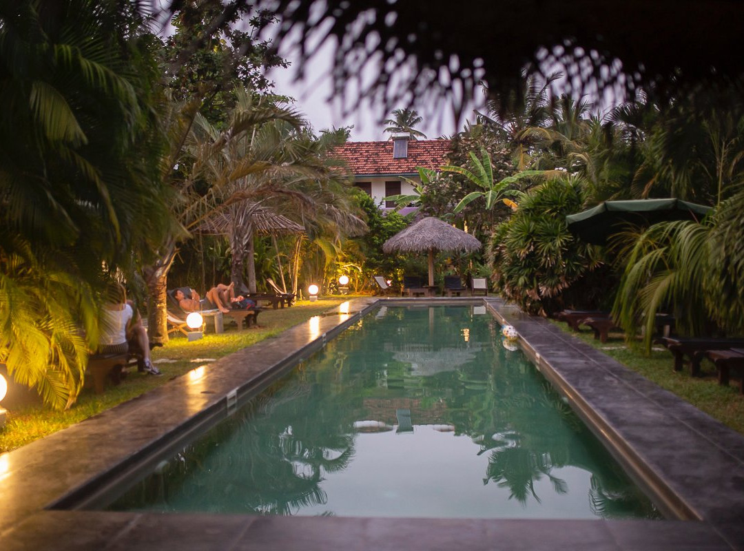 Turtle Eco Beach主图