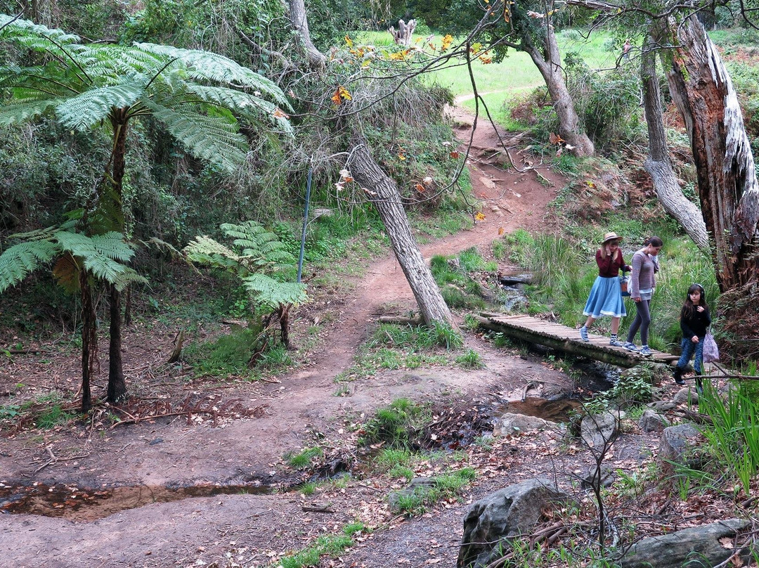 VoiceMap Cape Town-开普敦中心区必去景点