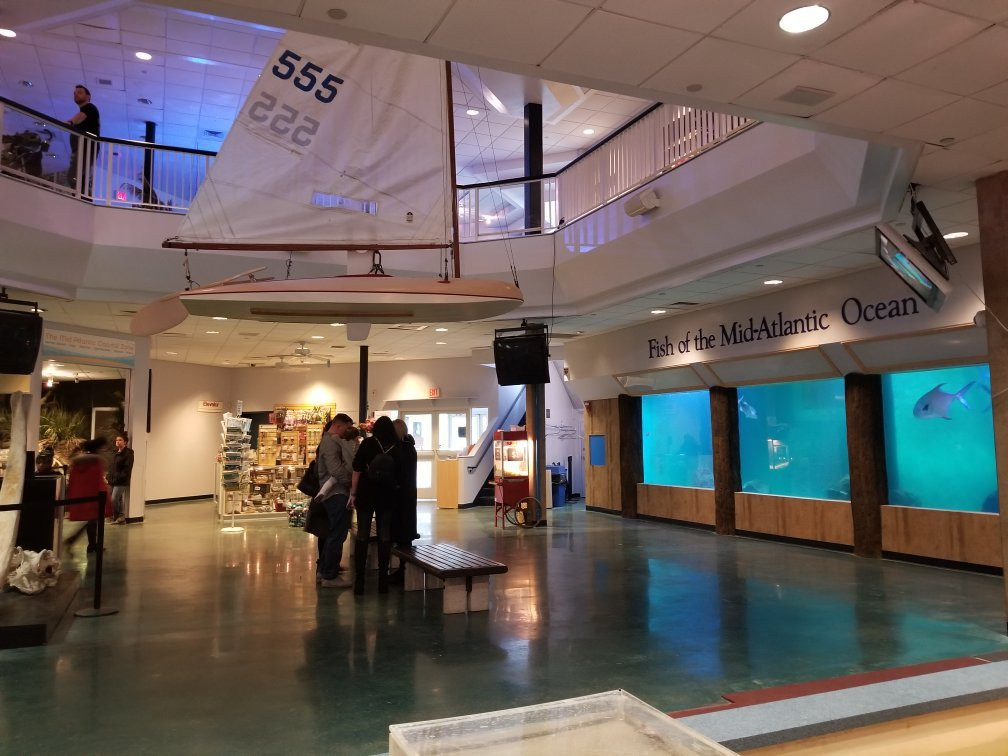 Atlantic City Aquarium Historic Gardner's Basin景点图片