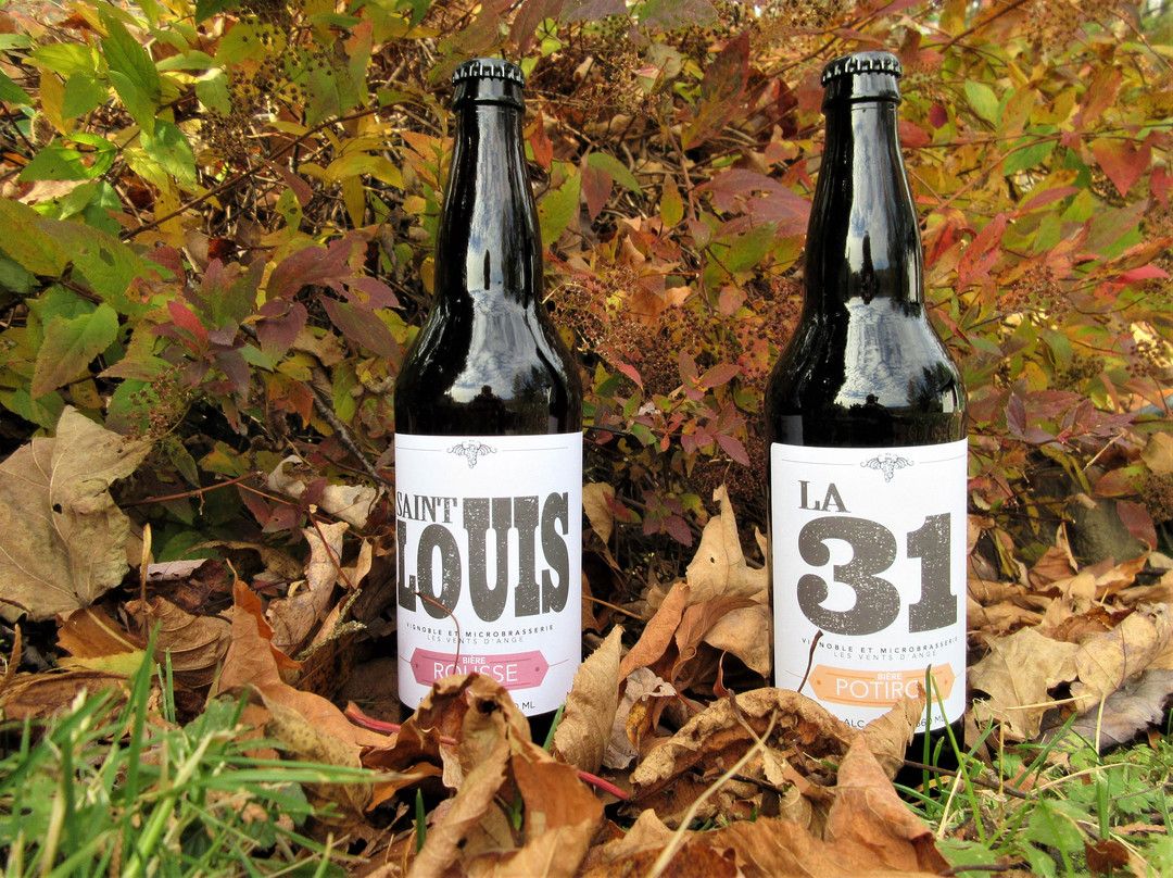 Vignoble Les Vents D'ange