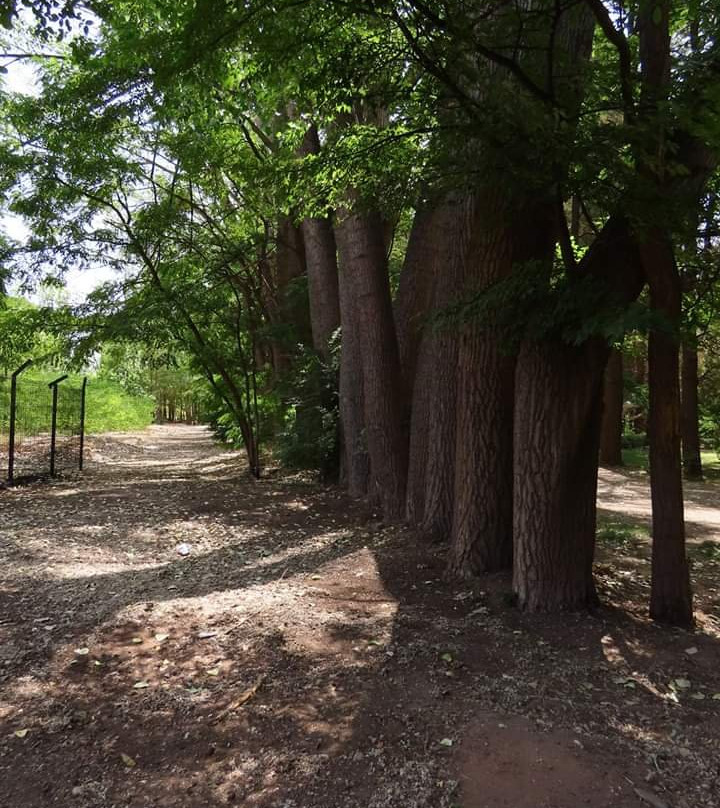 Ayer Park-Malargue必去景点