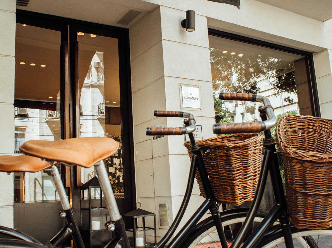 卡萨苏尔艺术酒店主图