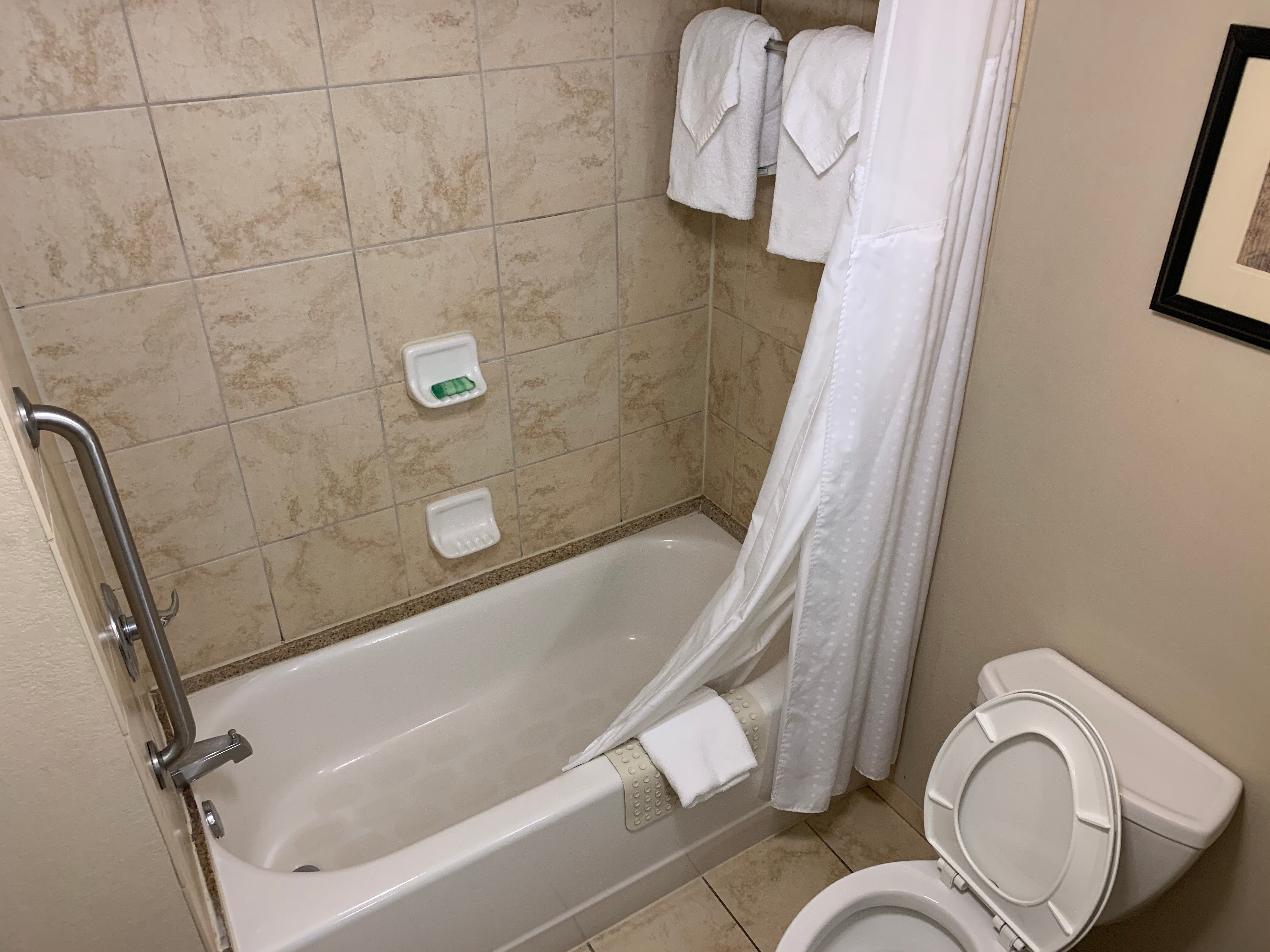 布莱斯维尔假日酒店-浴室