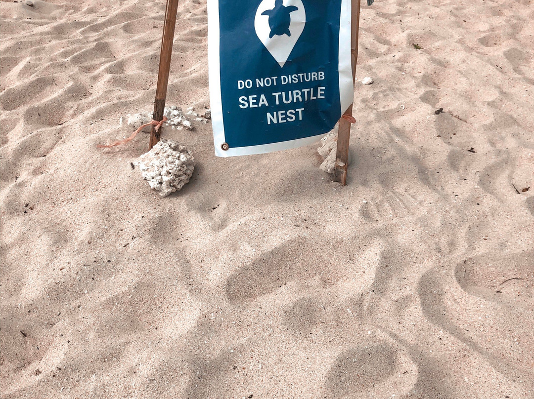 Inaladelan Island Resort-巴顿港必去景点