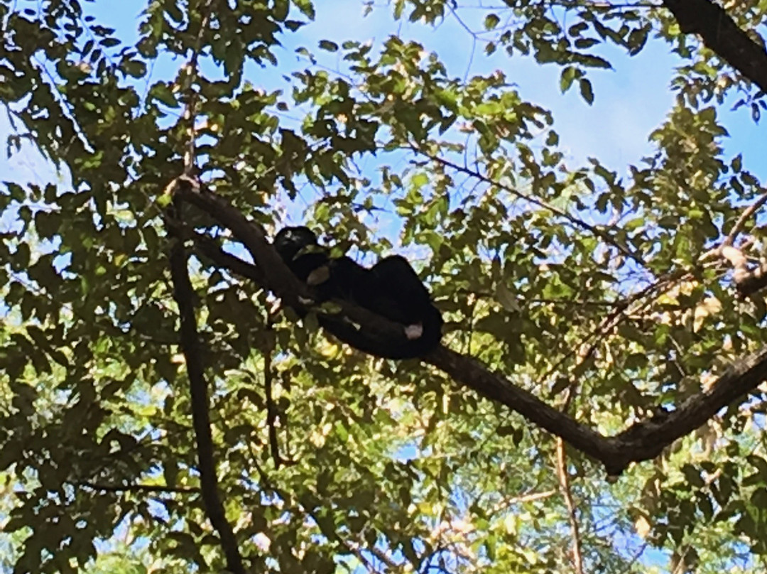 Hotel Playa Negra主图