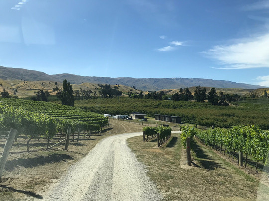 The BRAE, Tastings & Taps-克伦威尔镇必去景点