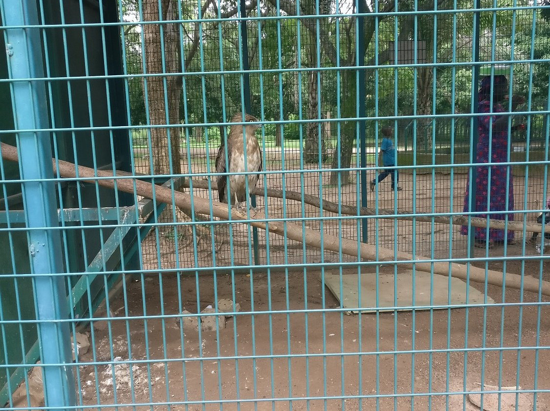 National Children's Park and Zoo景点图片