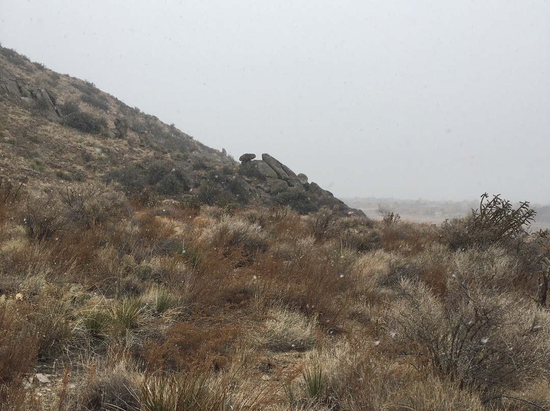 Piedra Lisa Trail-Tijeras必去景点