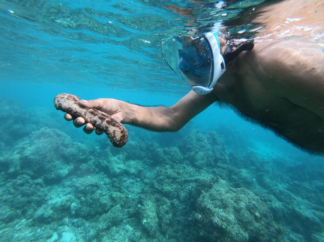 Beach Heaven Maldives - Golden Turtle Guest House主图