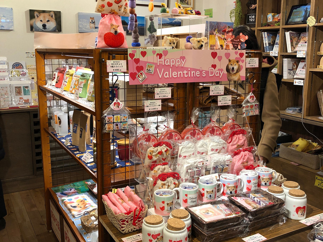 Gallery Marusan-Nezu必去景点