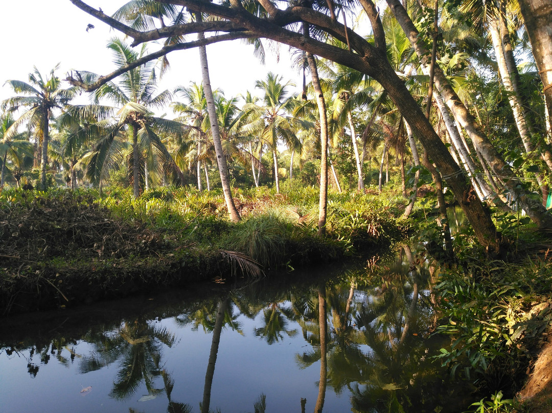 Munroe Paradise主图