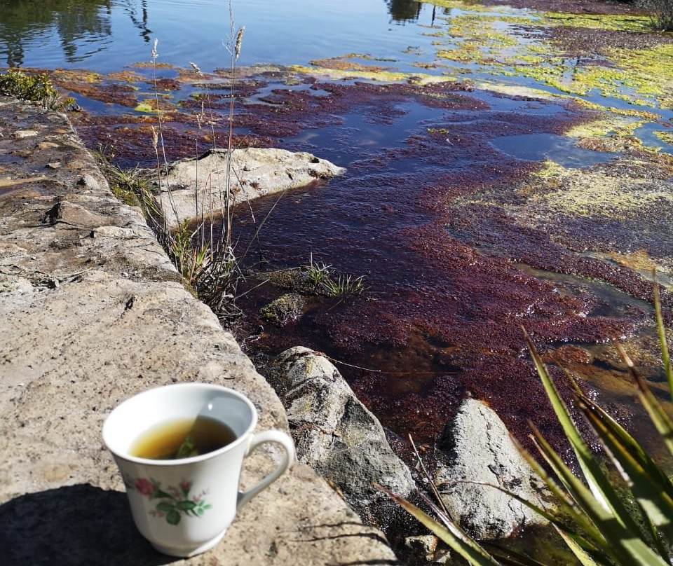 Termales la Cabana-Murillo必去景点