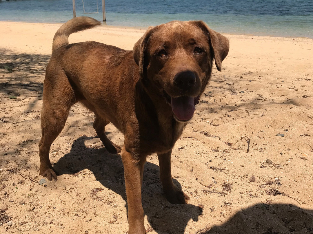 The Seraya Resort Komodo主图