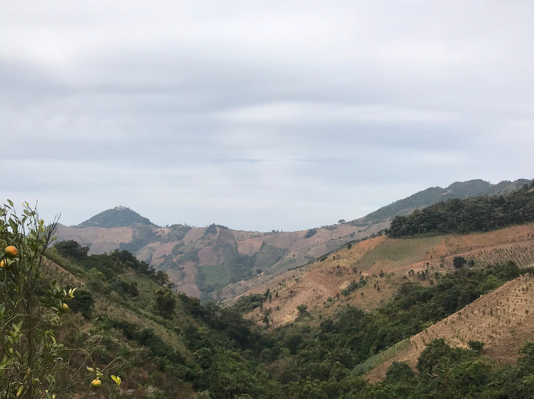 Green Land Trekking Kalaw-格劳必去景点