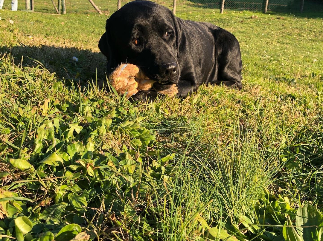 B&B Acque Lucenti主图