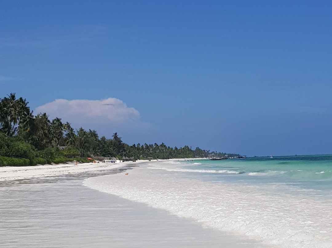 Zanzibar Archipelago旅游攻略图片