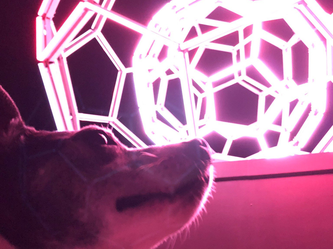 Buckyball At Crystal Bridges-本顿维尔必去景点