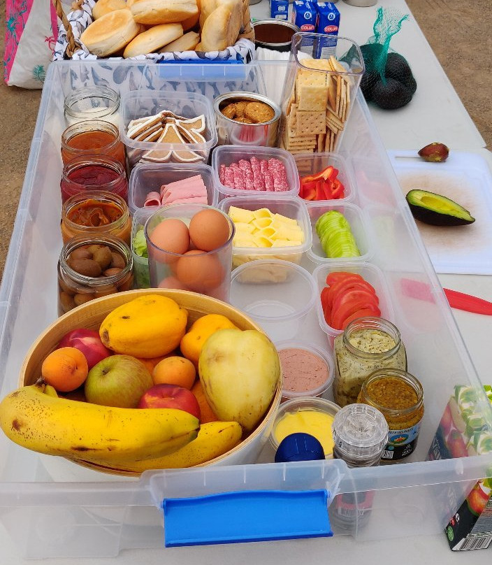 Whale Watching Chile-拉塞雷纳必去景点