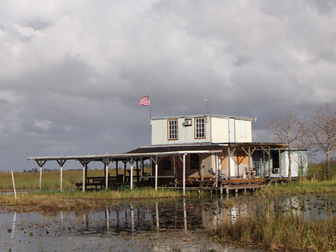 Airboat Rides West Palm Beach景点图片