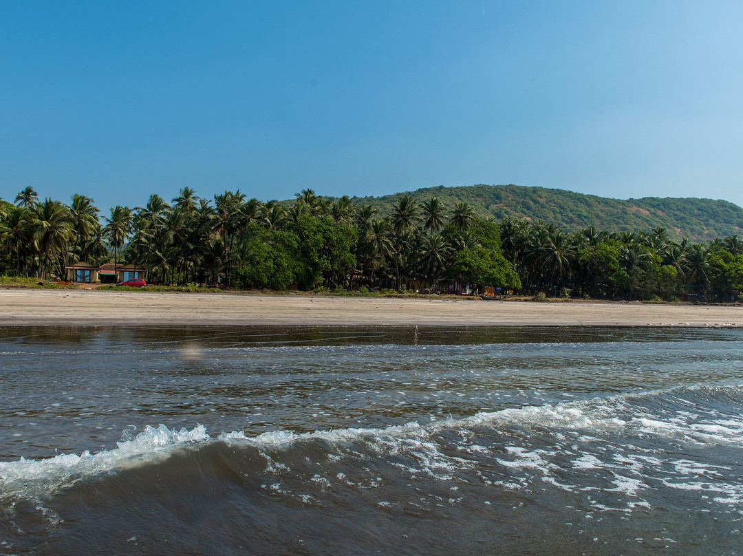 Om Shanti Beach Resort主图