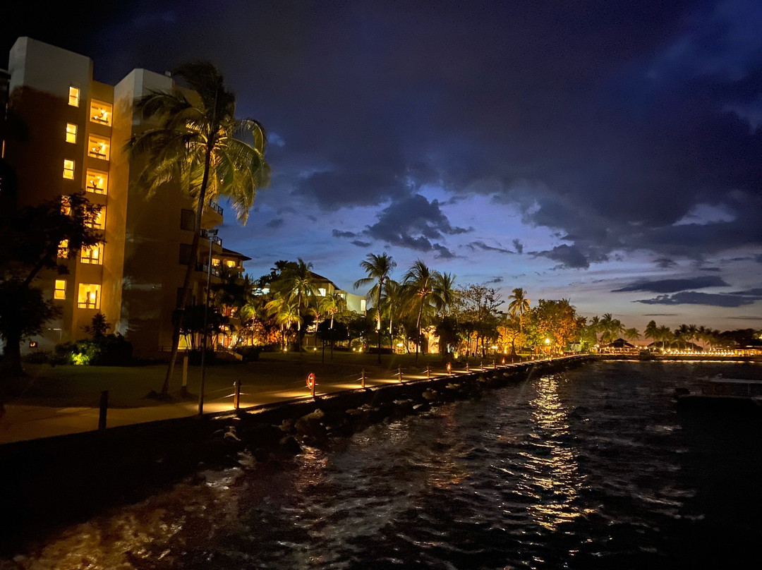 Star Marina Watersports景点图片