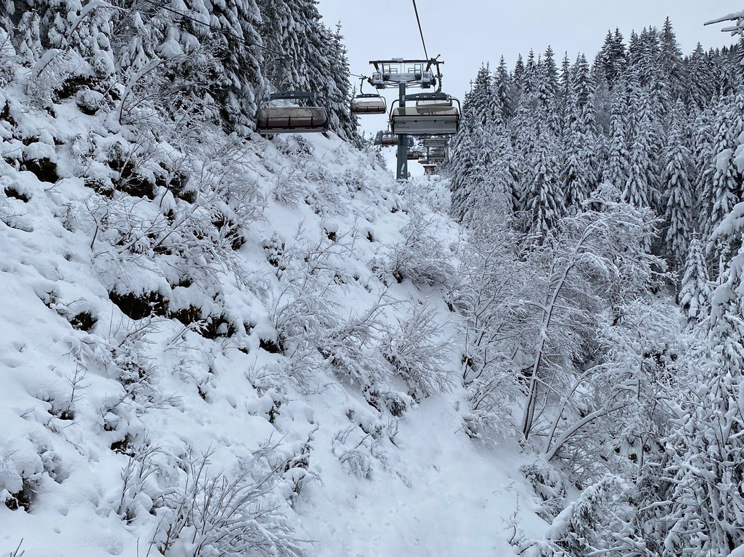 Ski resort Maria Alm-玛莉亚牧场必去景点