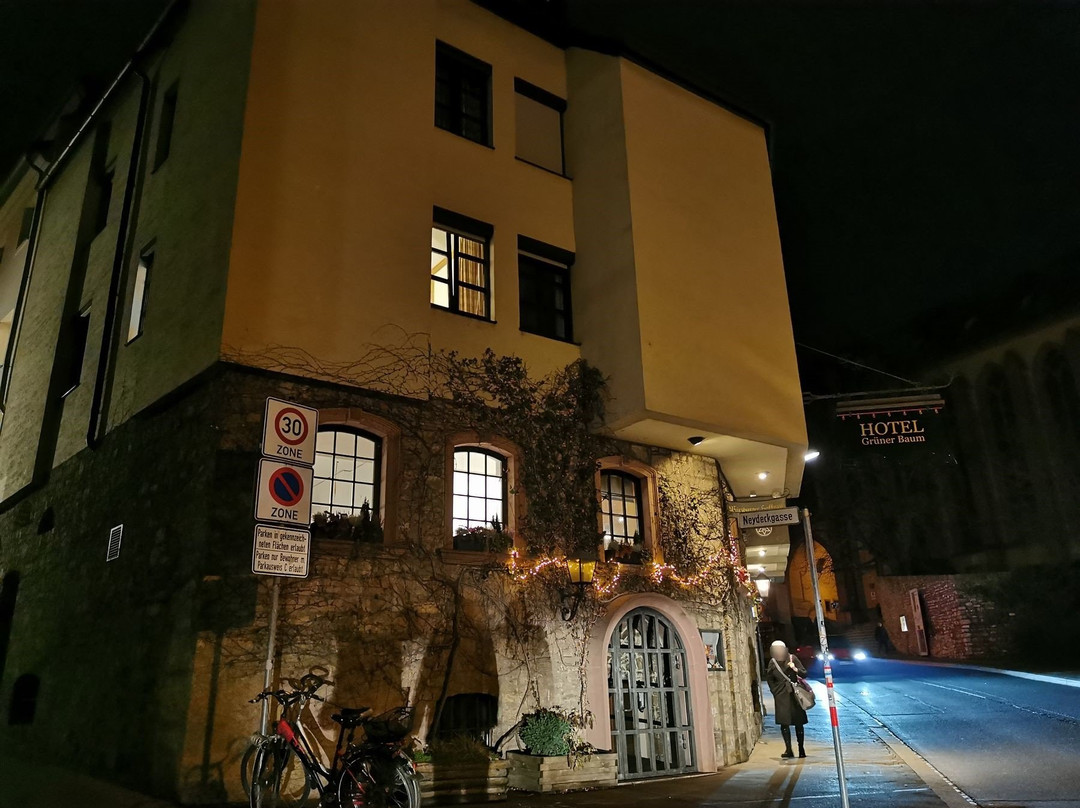 Hotel Gruener Baum主图