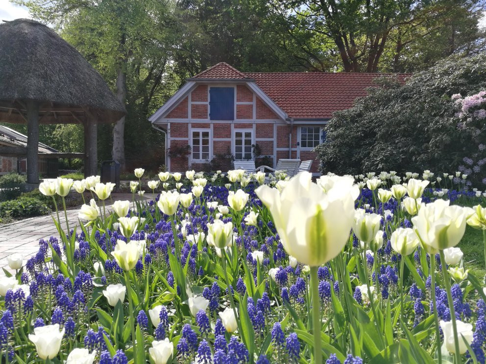 Oldenburger Schlossgarten景点图片