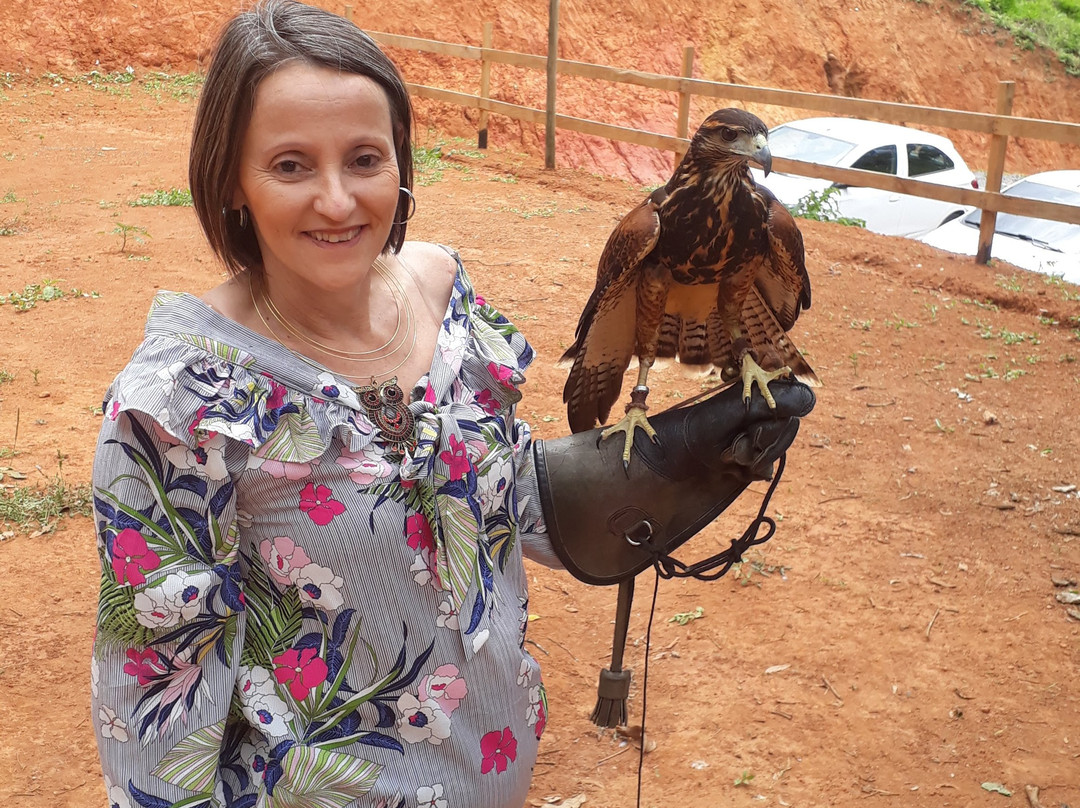 Escola de Falcoaria-蒙特贝尔德必去景点