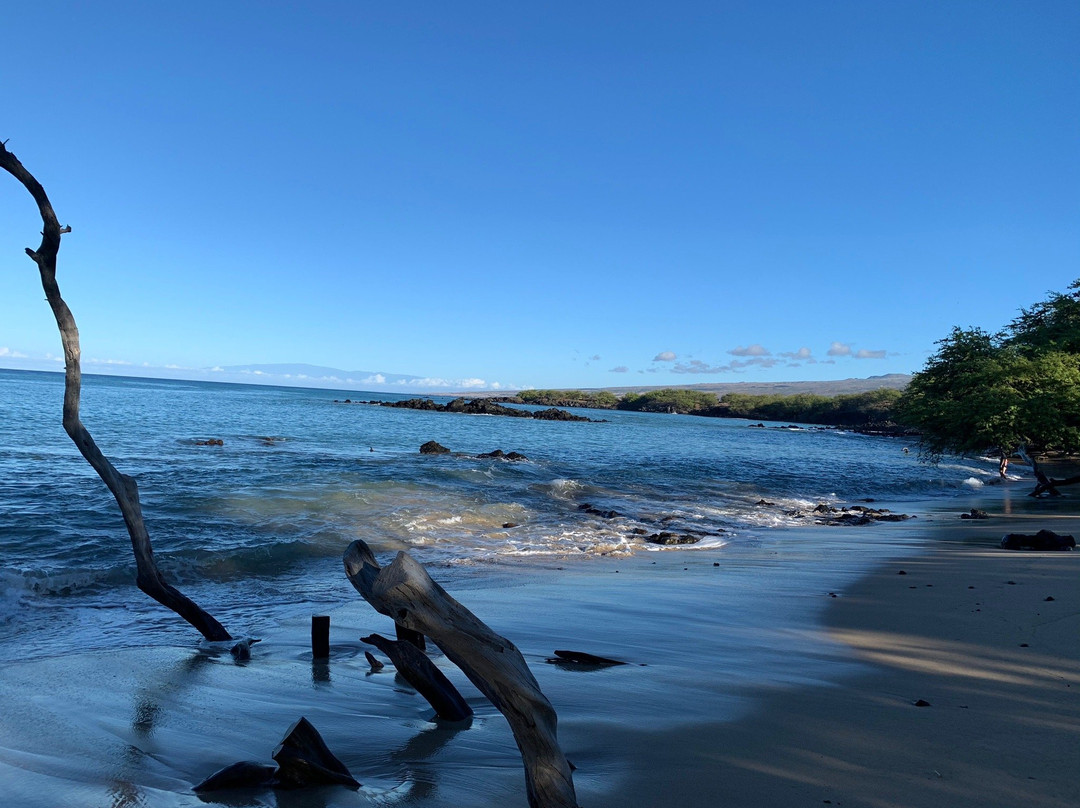 Waialea Beach景点图片