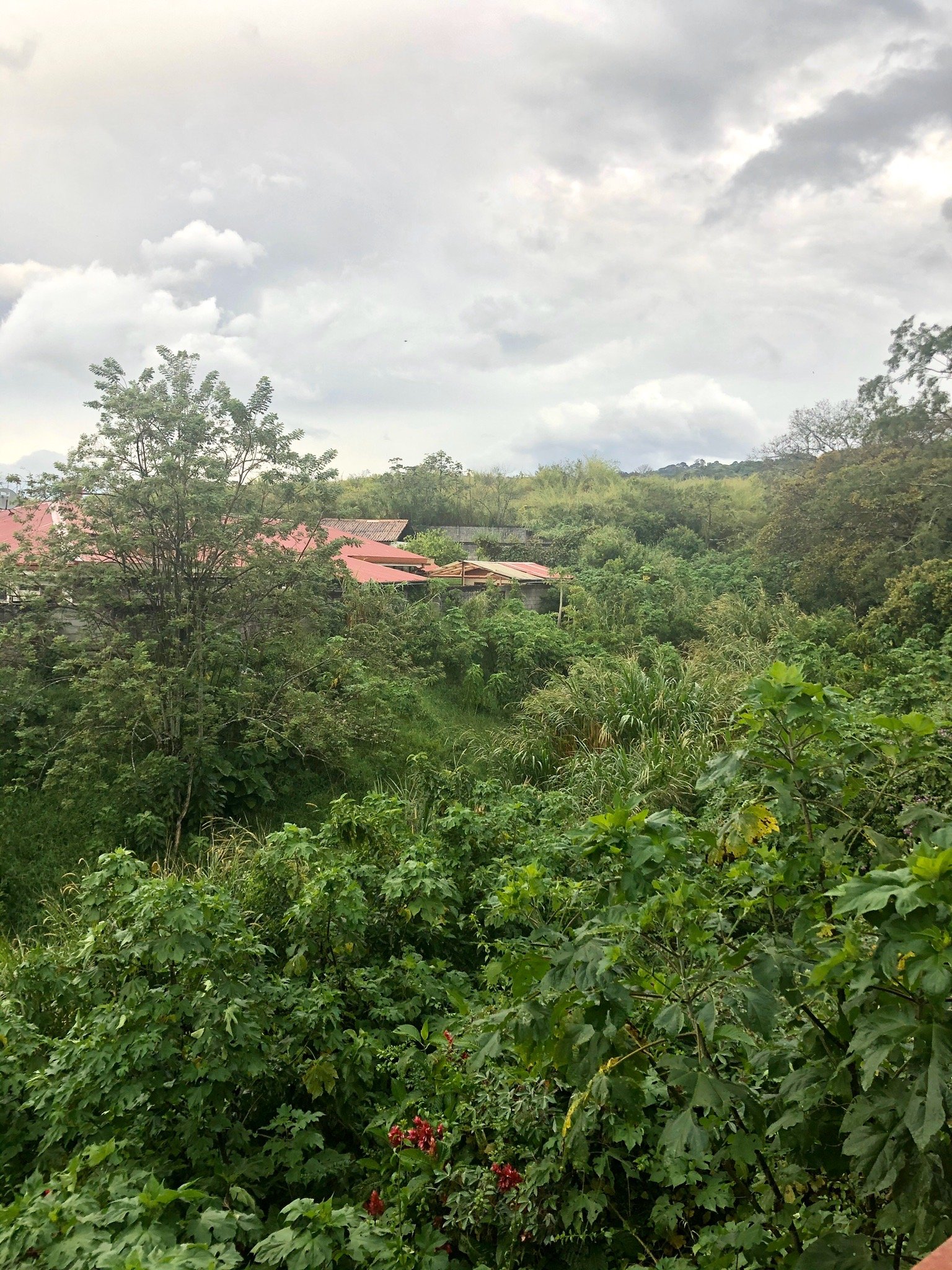 Villa Pacande-官方