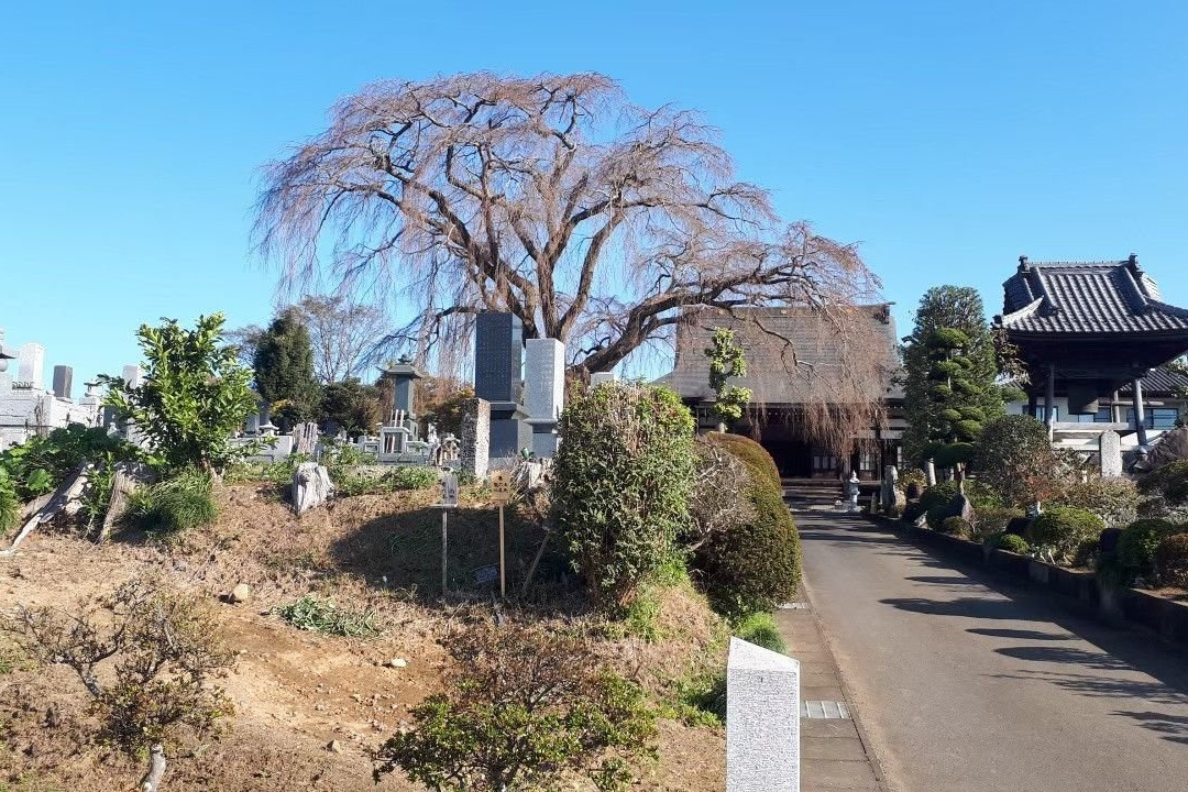 Komyo-ji Temple-益子町必去景点