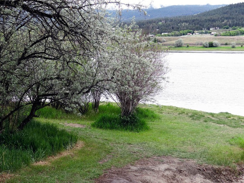 Pritchard旅游攻略图片