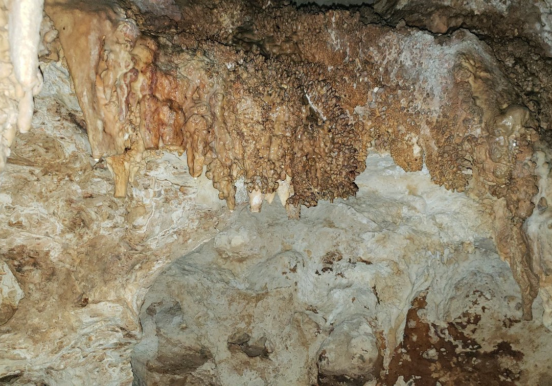 Cayman Brac Caves景点图片