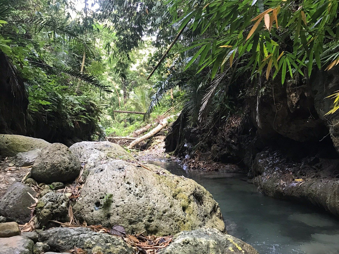 Dao Waterfalls景点图片