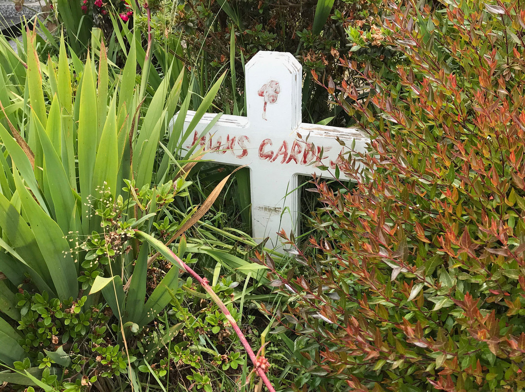 Foster Cemetery-福斯特必去景点