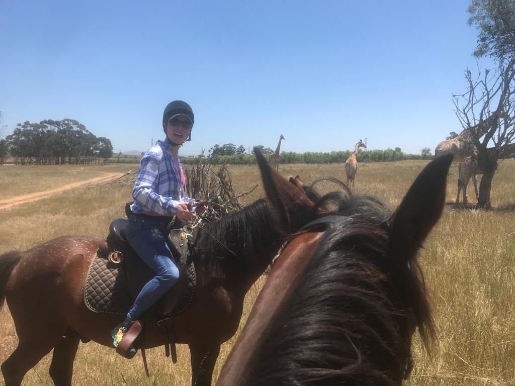 Horse Rides at Pete's-斯泰伦博斯必去景点