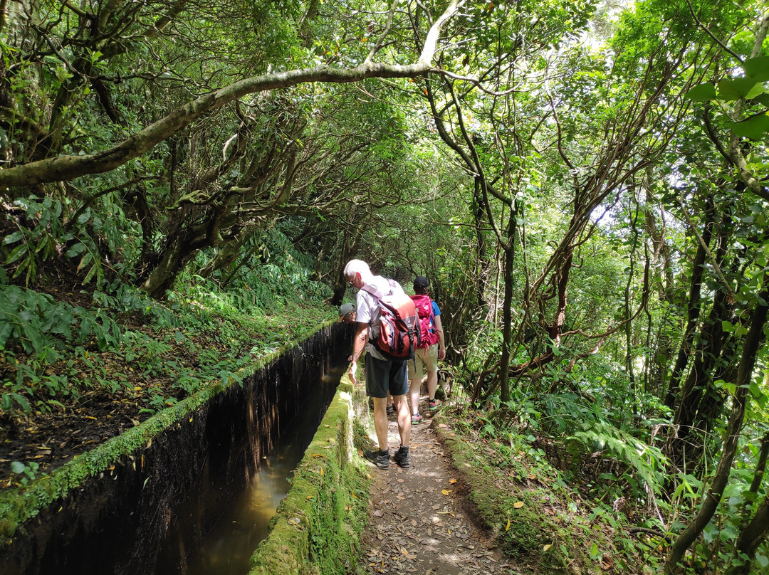 Minuvida Azores Experiences-Rabo de Peixe必去景点