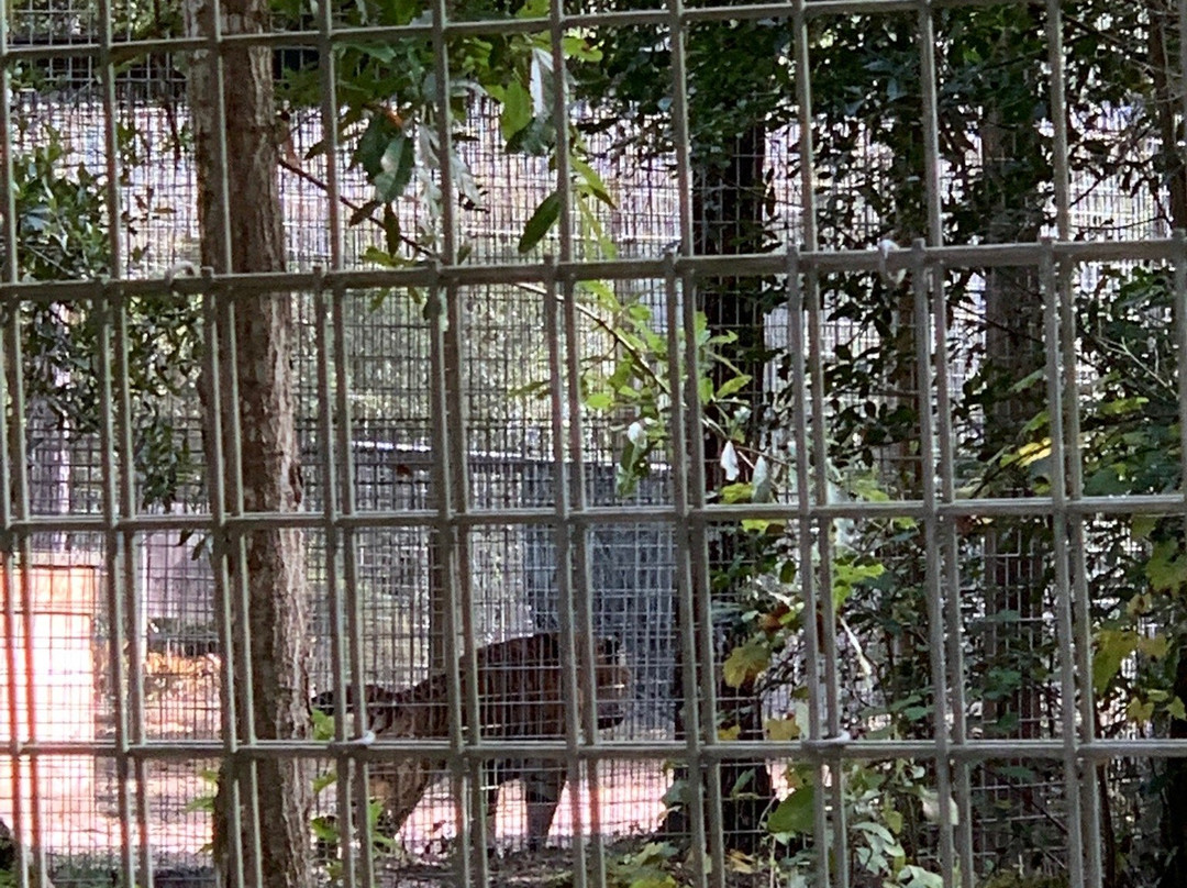 Forest Animal Rescue-Silver Springs必去景点