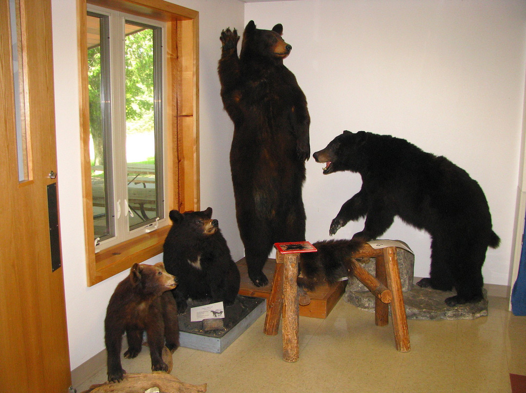 Mosquito Hill Nature Center-New London必去景点