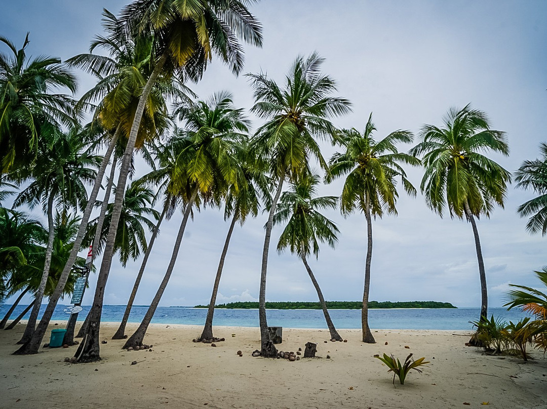 Maclura Residence主图