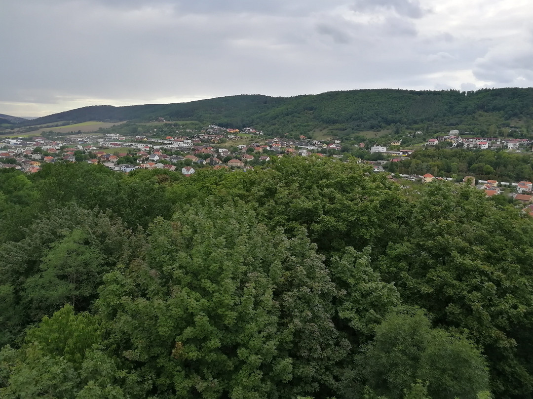Lookout tower Městská hora景点图片