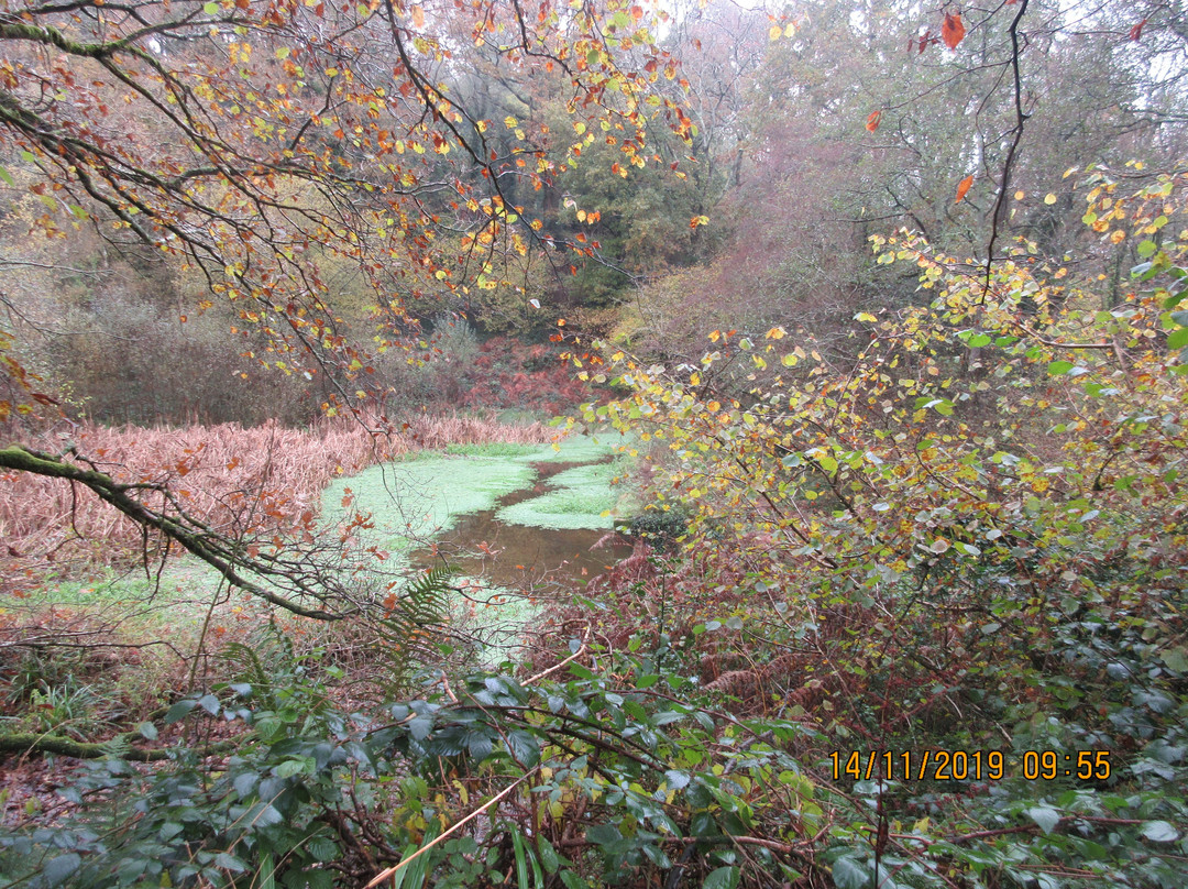 Holyford Woods Local Nature Reserve景点图片