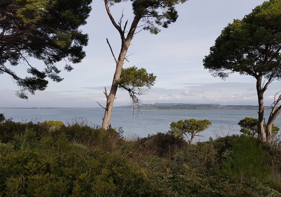 Ile Sainte-Lucie-Port La Nouvelle必去景点